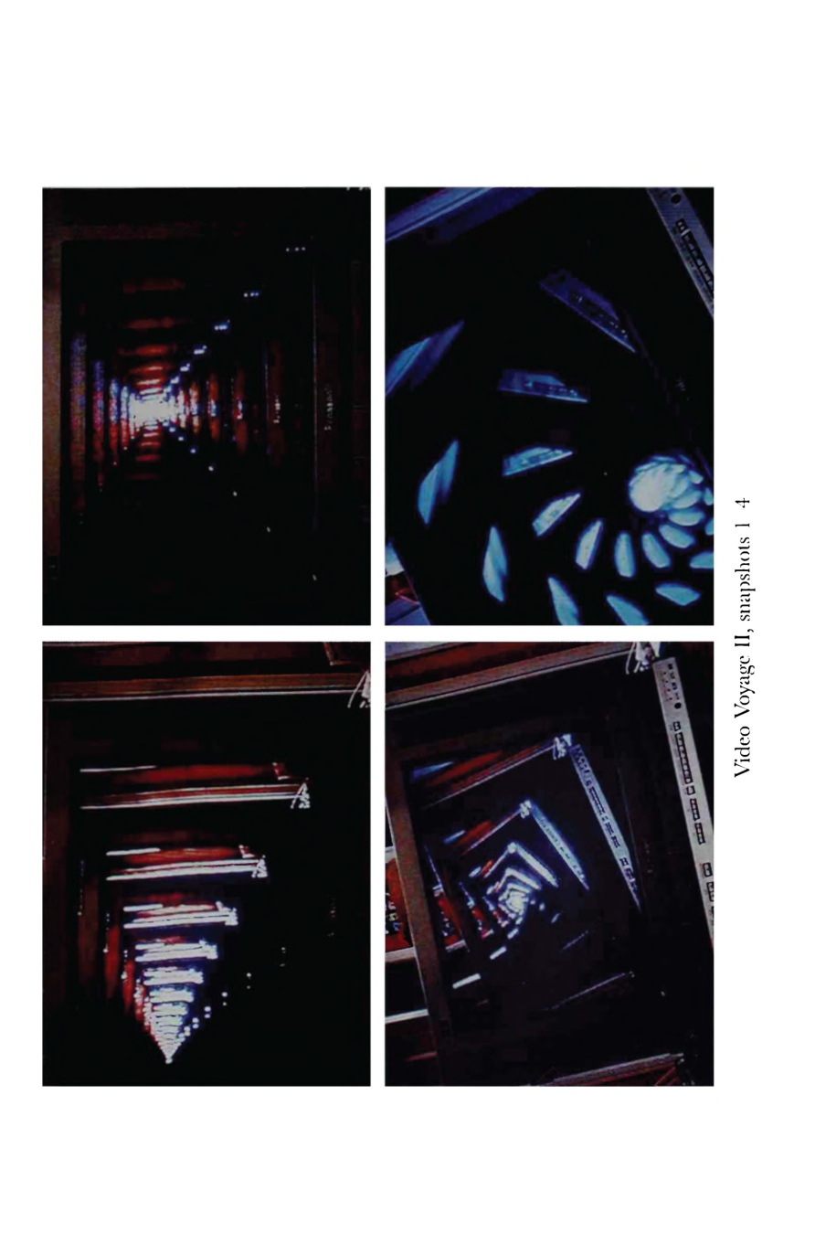 photo from the book