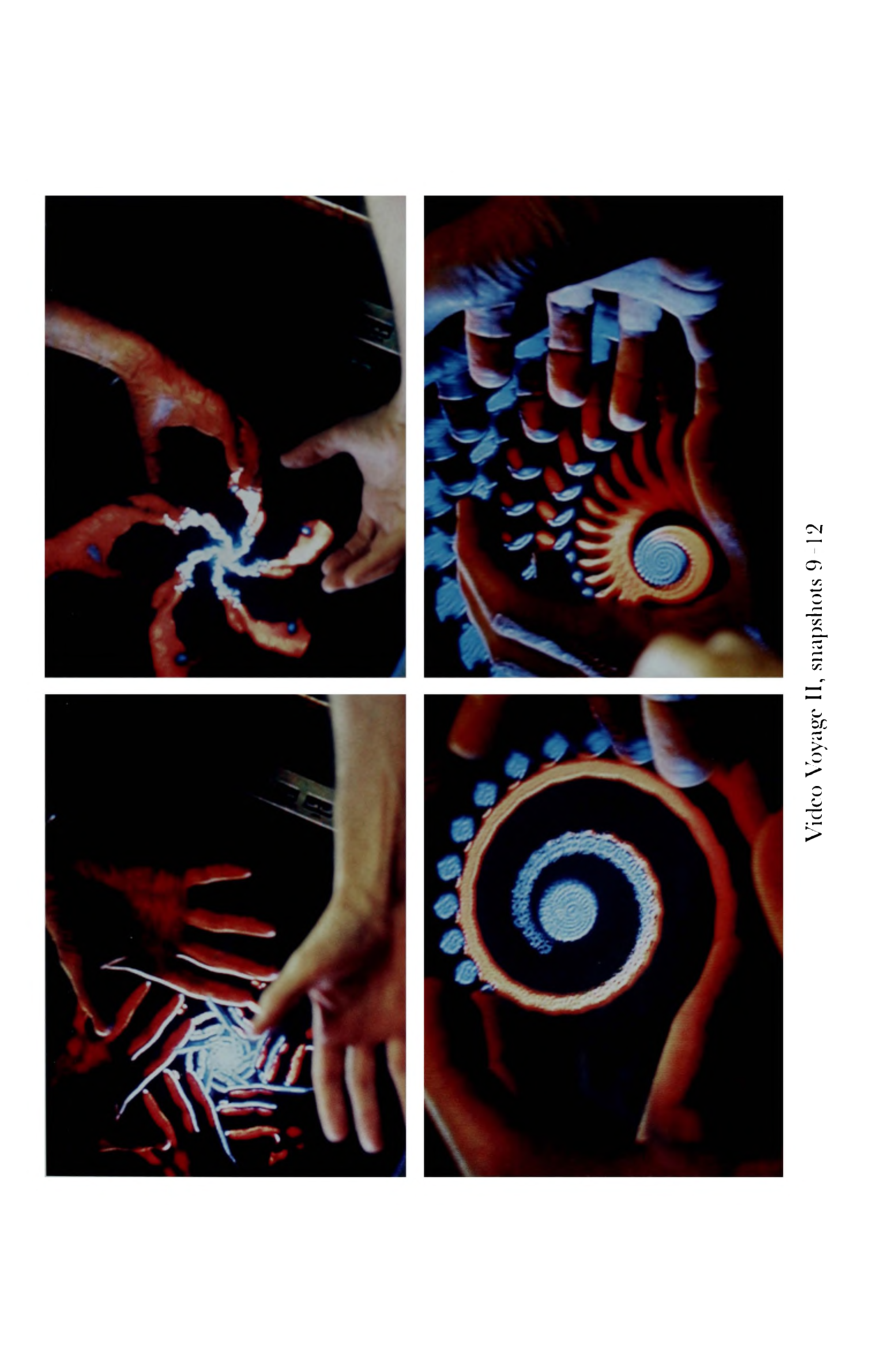 photo from the book