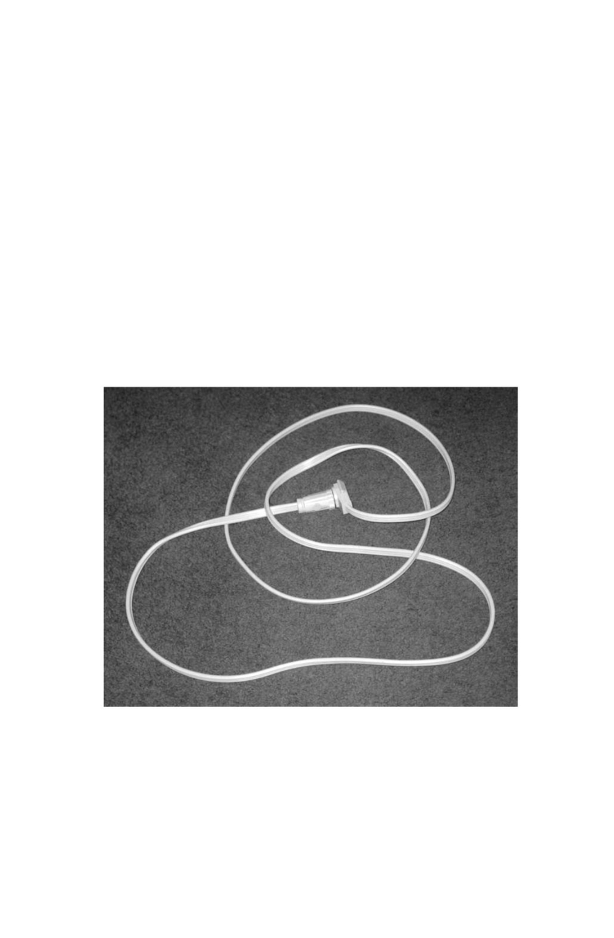 photo from the book