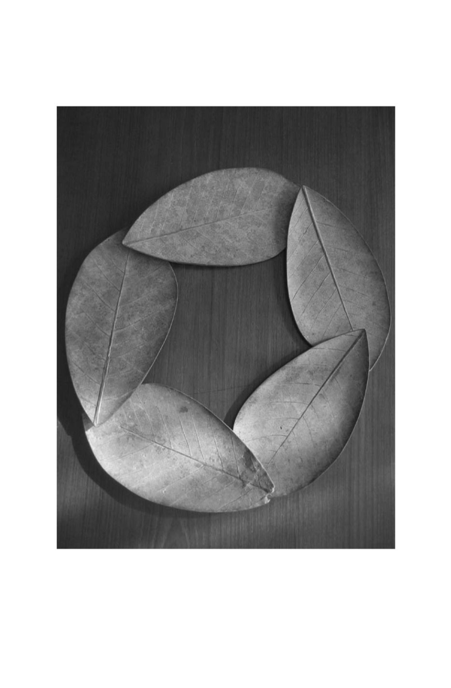 photo from the book