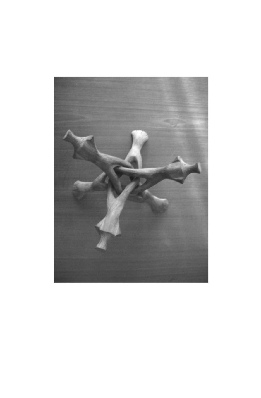photo from the book