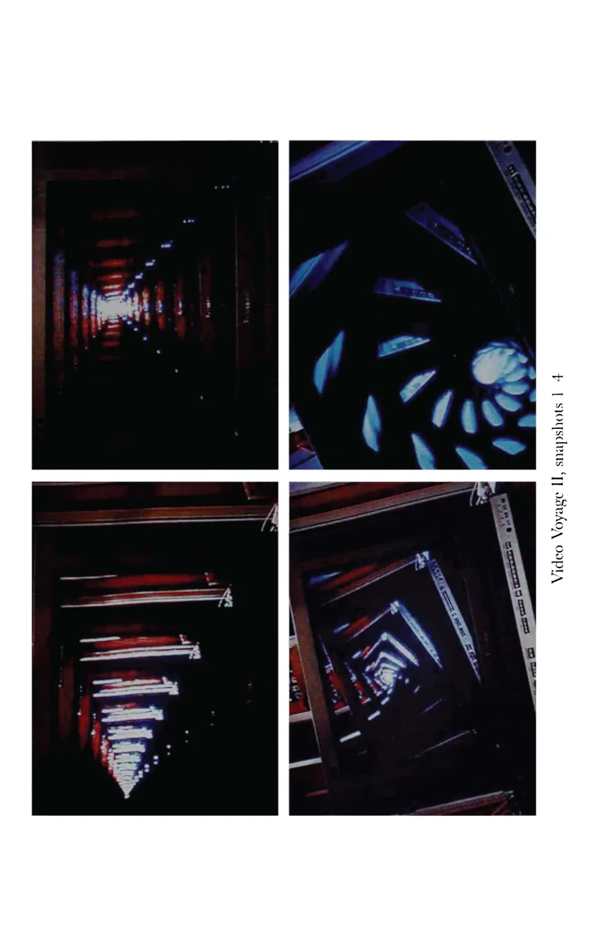 photo from the book