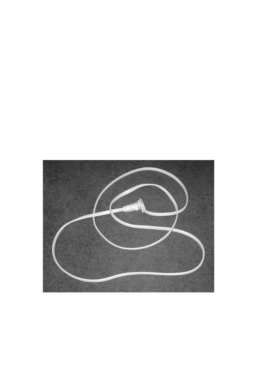 photo from the book
