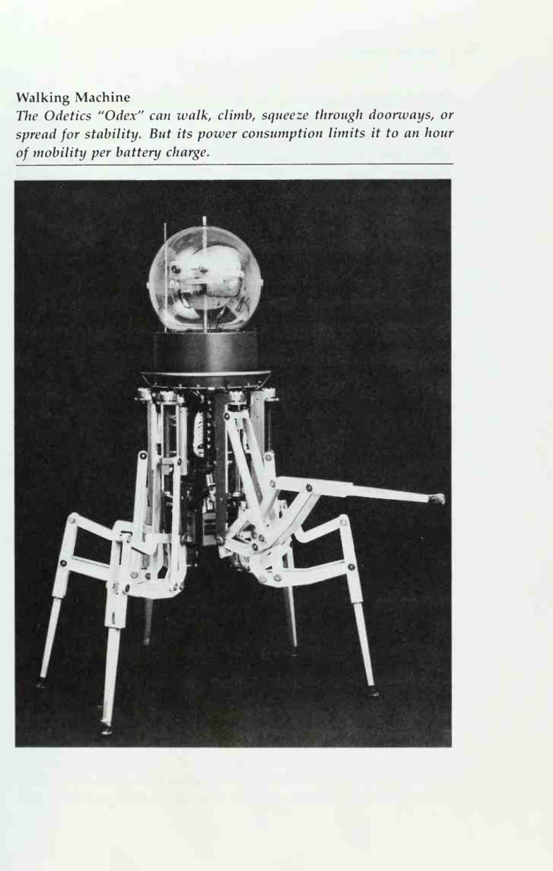 photo from the book