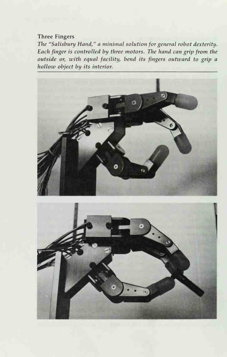 photo from the book
