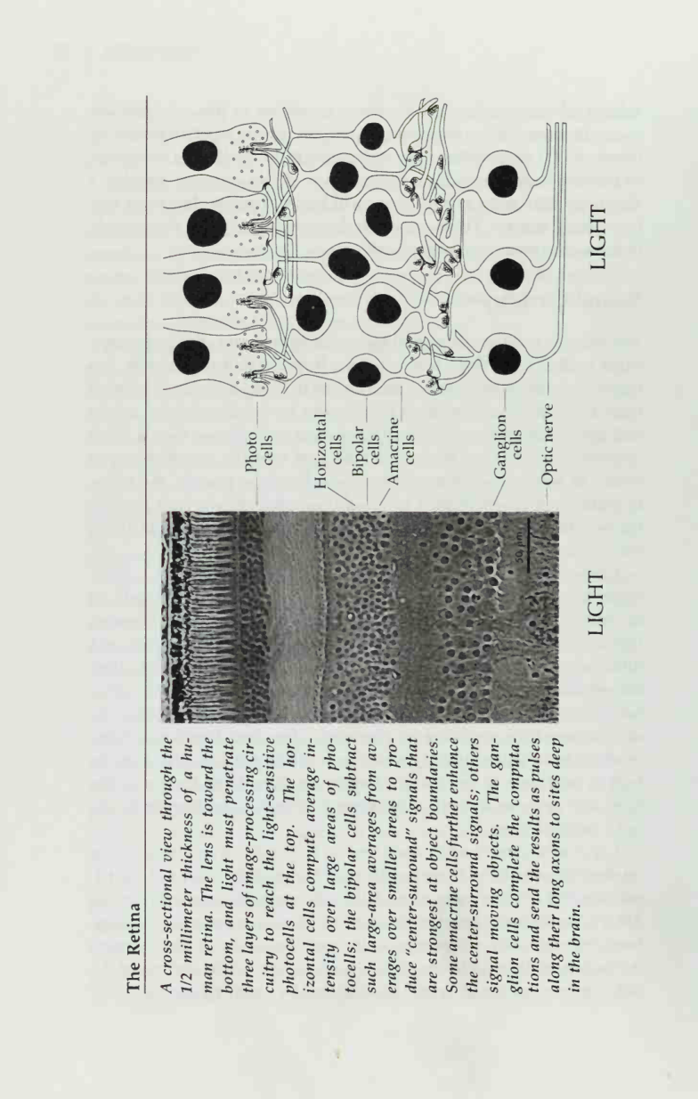 diagram from the book