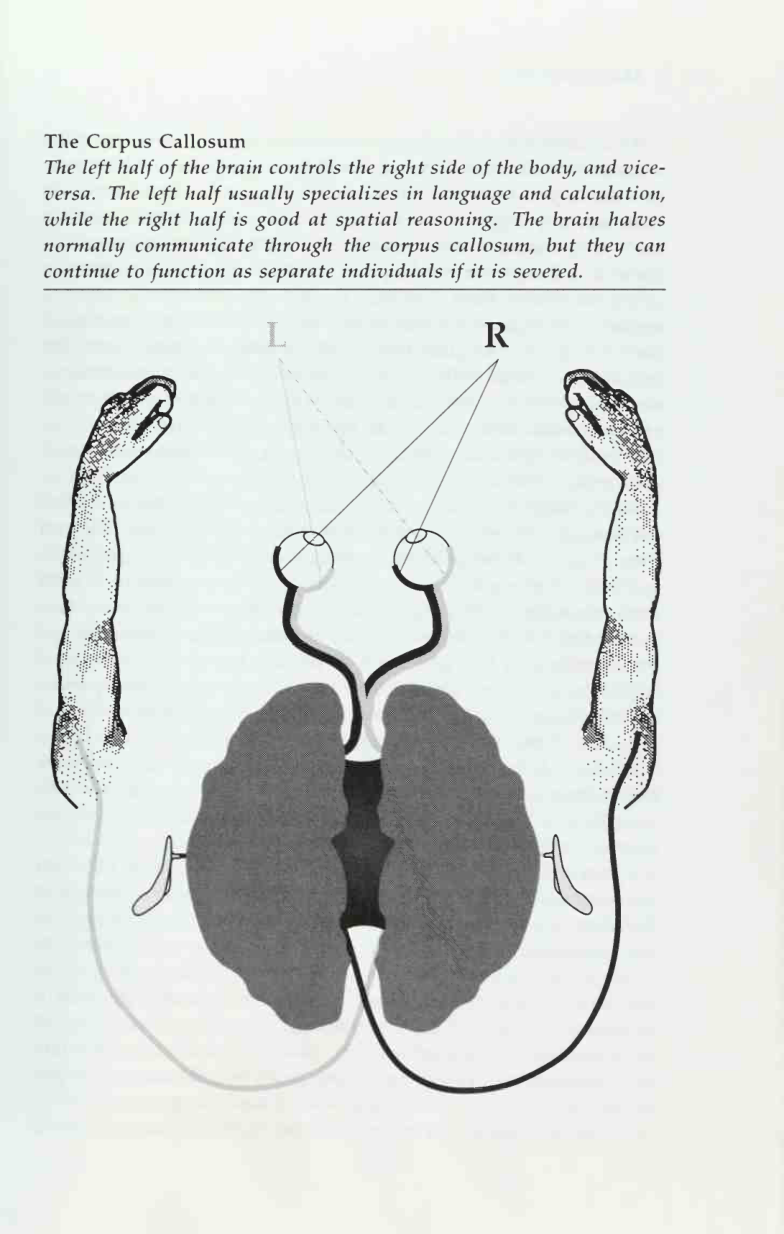 diagram from the book