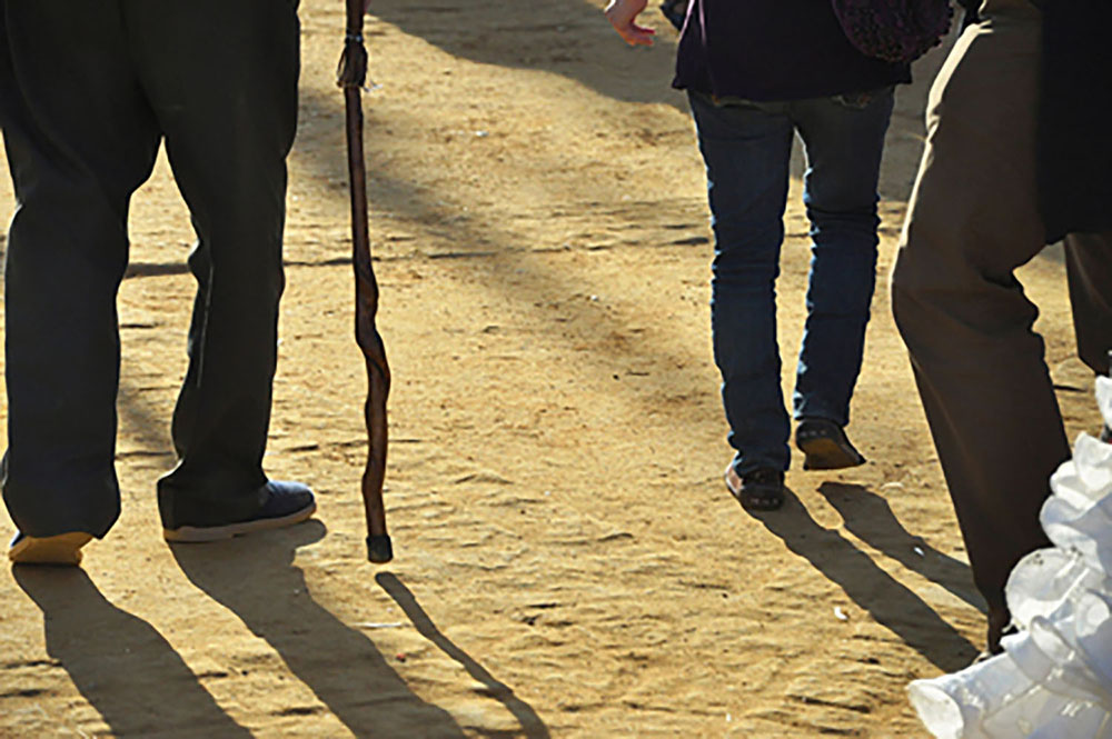 Book illustration